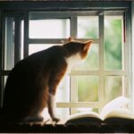 【笑いも癒やしも】動物好きが選ぶ！おすすめ動物系漫画10選